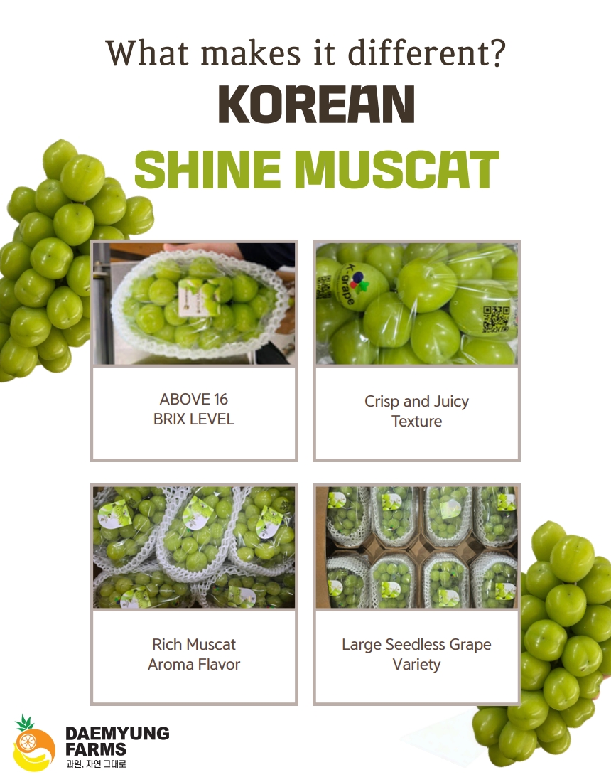 韓国 CROSIN 40K shine muscat Get Korean Shine Muscat Grape 1.32 lb