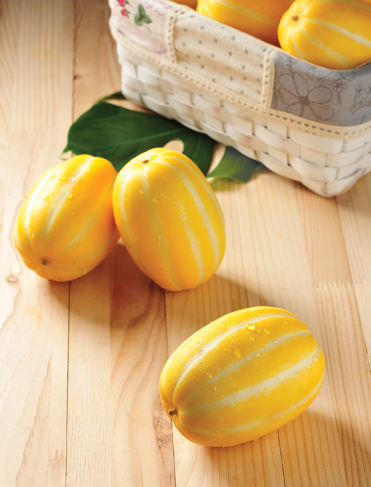 KFood Big Data / Korean melon, Charming Combination of Sweet Taste and