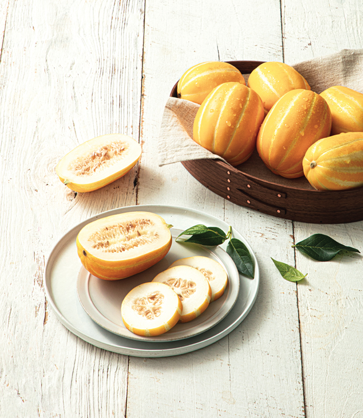 Into the Farm / Disseminate Charms of Korean melon to the World 상세보기뉴스