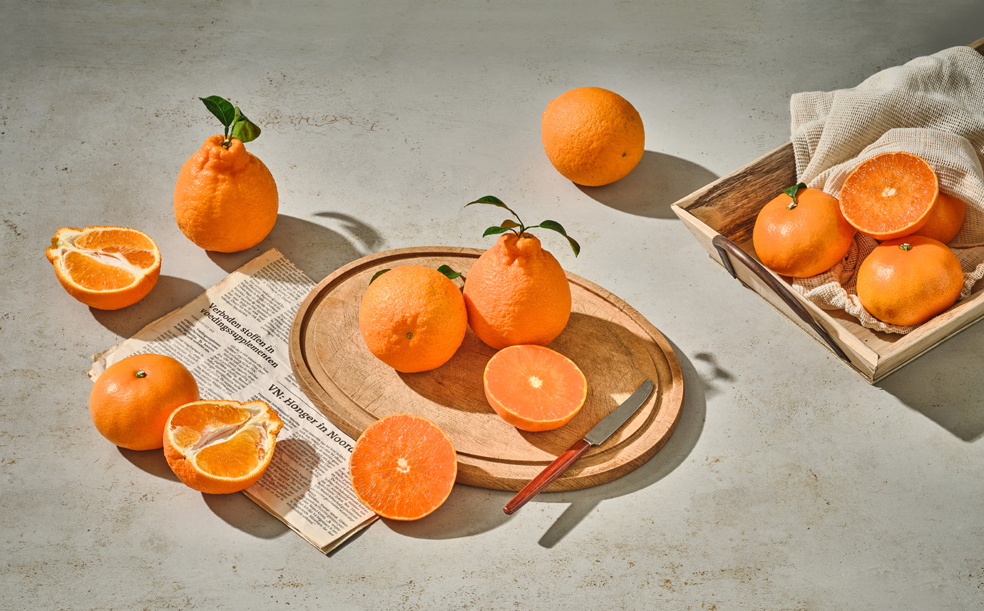 Cover Story / Korea’s special citrus, Mandarin Orange 상세보기Newsletter