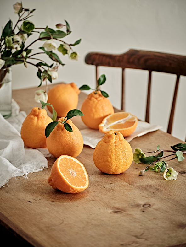 Cover Story / Korea’s special citrus, Mandarin Orange 상세보기뉴스레터 K