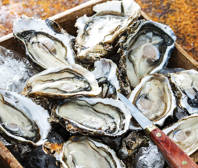 Monthly Pick / The Best in Season 'Oysters' & The Best Product Online